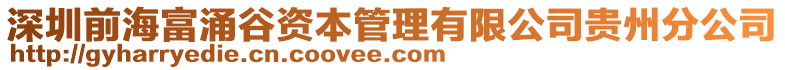 深圳前海富涌谷資本管理有限公司貴州分公司