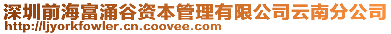 深圳前海富涌谷資本管理有限公司云南分公司