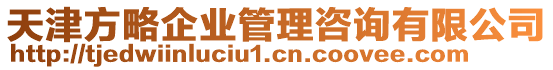 天津方略企業管理咨詢有限公司