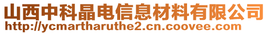 山西中科晶電信息材料有限公司