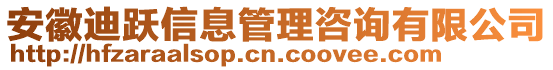 安徽迪躍信息管理咨詢有限公司