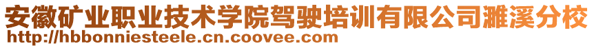 安徽礦業(yè)職業(yè)技術(shù)學(xué)院駕駛培訓(xùn)有限公司濉溪分校