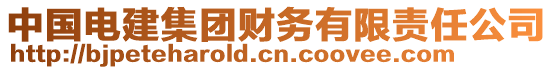 中國電建集團財務(wù)有限責任公司