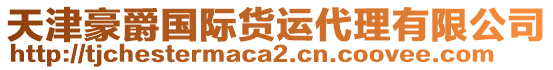 天津豪爵國際貨運代理有限公司