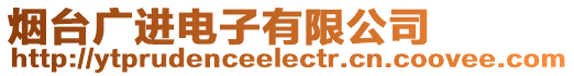 煙臺廣進電子有限公司