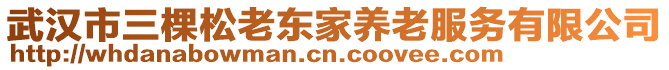 武漢市三棵松老東家養(yǎng)老服務有限公司