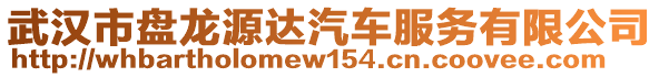 武漢市盤龍源達(dá)汽車服務(wù)有限公司