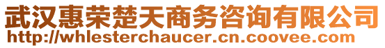 武漢惠榮楚天商務咨詢有限公司