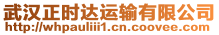 武漢正時達運輸有限公司