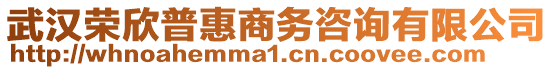 武漢榮欣普惠商務咨詢有限公司