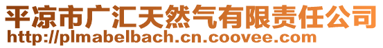 平凉市广汇天然气有限责任公司