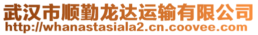 武漢市順勤龍達運輸有限公司
