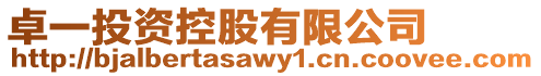 卓一投資控股有限公司