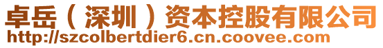 卓岳（深圳）資本控股有限公司