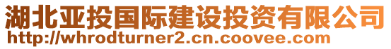 湖北亚投国际建设投资有限公司