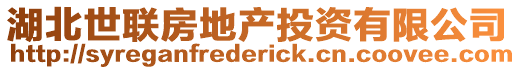 湖北世联房地产投资有限公司