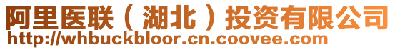 阿里醫(yī)聯(lián)（湖北）投資有限公司