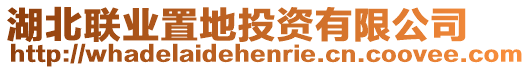湖北聯(lián)業(yè)置地投資有限公司