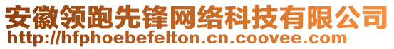 安徽領(lǐng)跑先鋒網(wǎng)絡(luò)科技有限公司