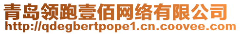 青島領跑壹佰網絡有限公司