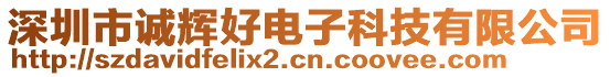 深圳市誠輝好電子科技有限公司