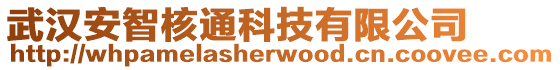 武漢安智核通科技有限公司