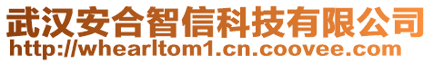 武漢安合智信科技有限公司