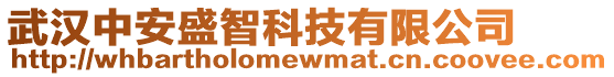 武漢中安盛智科技有限公司