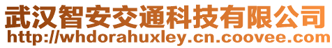 武漢智安交通科技有限公司