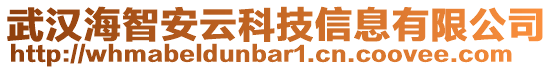 武漢海智安云科技信息有限公司