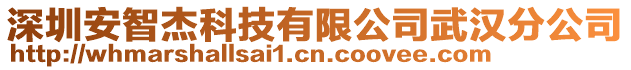 深圳安智杰科技有限公司武漢分公司