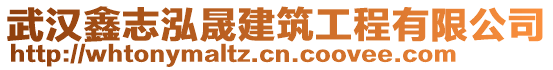 武漢鑫志泓晟建筑工程有限公司