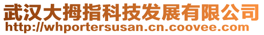 武漢大拇指科技發(fā)展有限公司