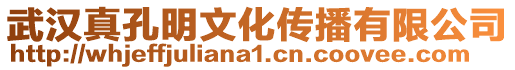 武漢真孔明文化傳播有限公司