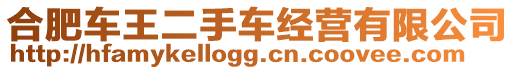 合肥車王二手車經(jīng)營有限公司