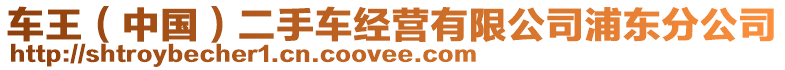 車王（中國）二手車經(jīng)營有限公司浦東分公司