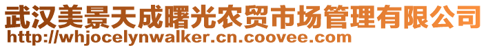 武漢美景天成曙光農(nóng)貿(mào)市場管理有限公司