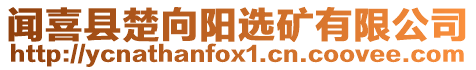 聞喜縣楚向陽(yáng)選礦有限公司