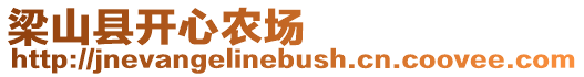 梁山縣開心農場