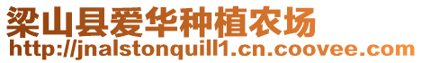 梁山縣愛華種植農場