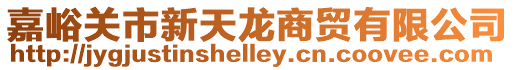 嘉峪關市新天龍商貿有限公司
