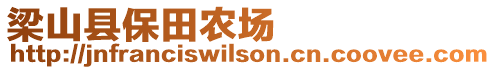 梁山縣保田農場