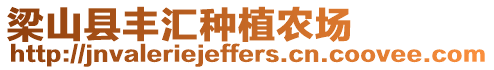 梁山縣豐匯種植農場