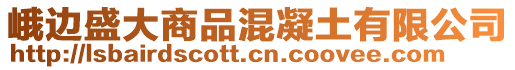 峨邊盛大商品混凝土有限公司