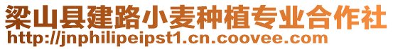 梁山縣建路小麥種植專業(yè)合作社