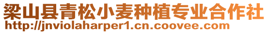 梁山縣青松小麥種植專業(yè)合作社