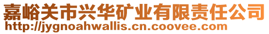 嘉峪關(guān)市興華礦業(yè)有限責(zé)任公司