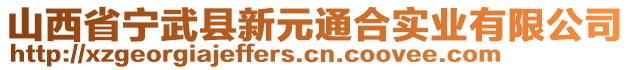 山西省寧武縣新元通合實業(yè)有限公司