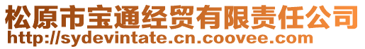 松原市寶通經(jīng)貿(mào)有限責(zé)任公司