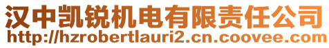 漢中凱銳機(jī)電有限責(zé)任公司